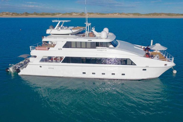 ocean dream charter boat vessel charter