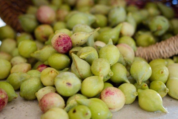 kakadu plums