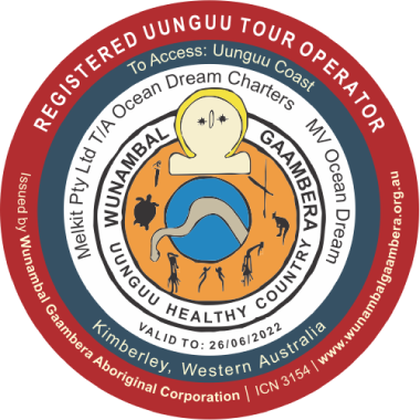 Unguu Visitors Pass Logo