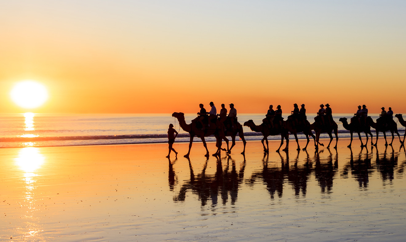 camel rides on the beach in broome