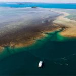 aerial view of the ocean dream catamaran on the water