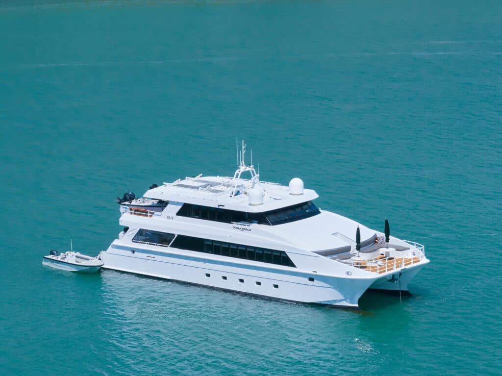 ocean dream catamaran